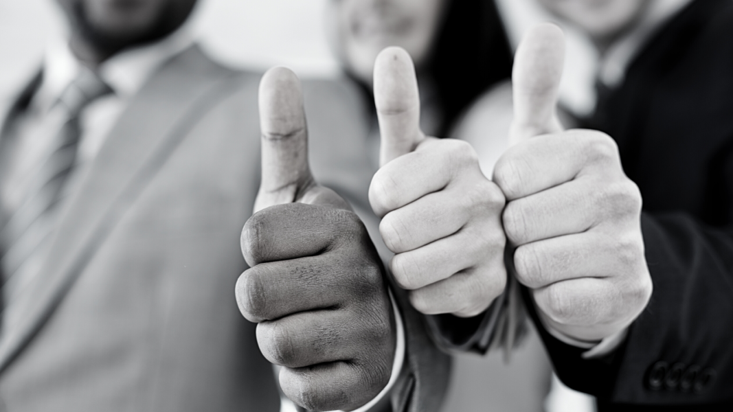 ThinkTrad values; Satisfaction